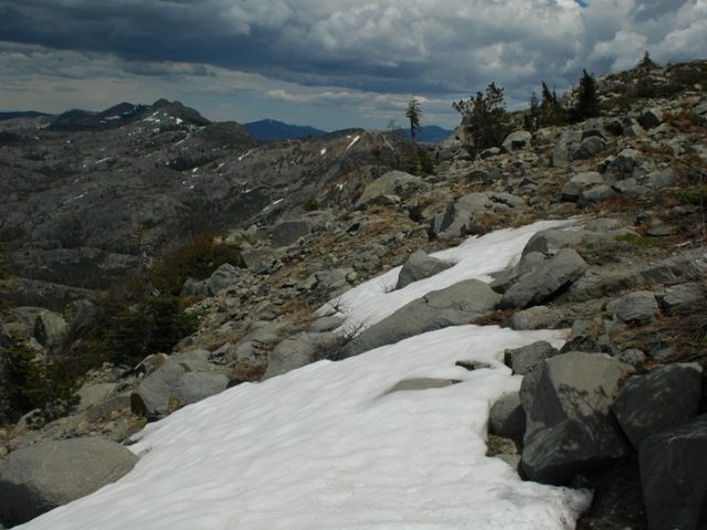 Snow at Grouse Ridge, July 2007